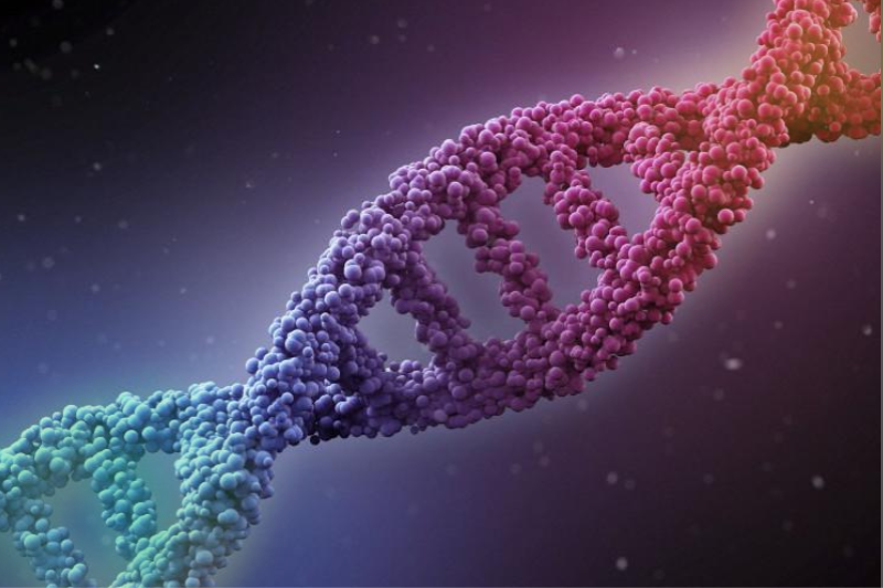 Study Shows Gay Gene Can’t Be Found, Last Seen In Bathroom Asking Around For Molly